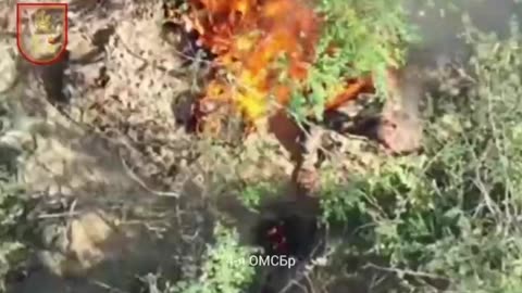 Ukraine war related/combat footage 11/24/25