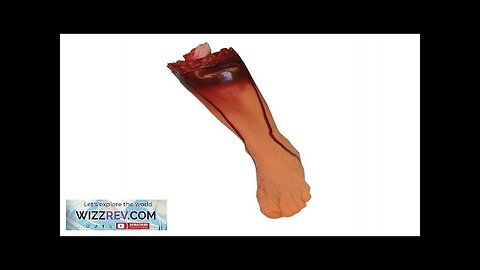 Severed Left Leg Scary Prop Review