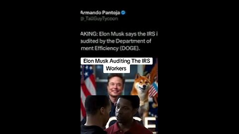 Elon Musk Auditing The IRS