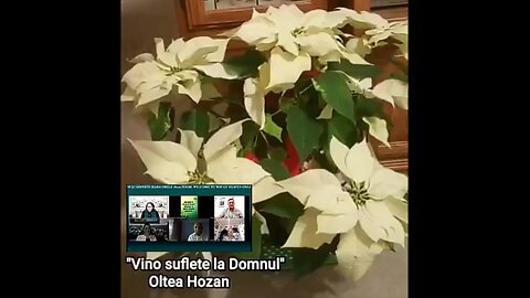 Oltea Hozan poezia -Vino Suflete La Domnul!- #autor Danielescu Alina Camelia #editor Valentin Trif