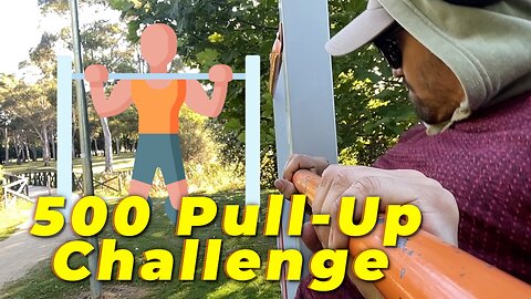 Tried 500 Pull-Up Challenge