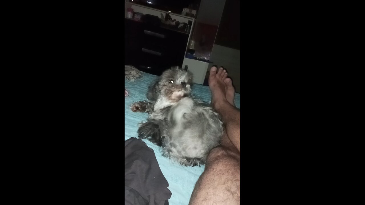 Bela dormiu