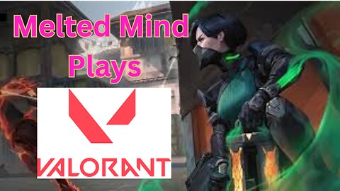 Melted Mind plays Waterpark simulator / Valorant
