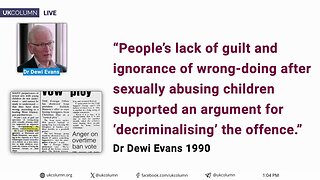 Dewi Evans, Lucy Letby Expert Witness, Called for Decriminalising Sexual Acts with Children?