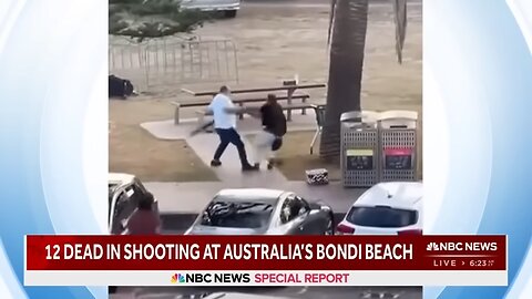 Special Report: Targeted shooting at Australia’s Bondi Beach leaves multiple dead