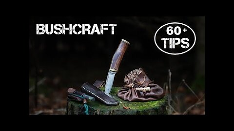 60+ Bushcraft Skills & Survival Tips