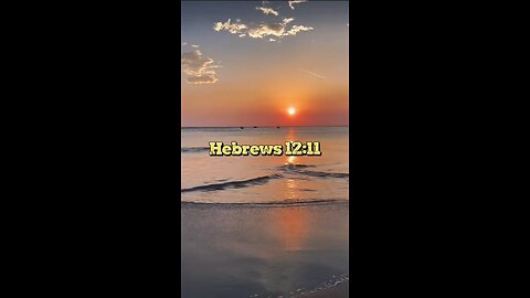 Hebrews 12:11 (NIV)