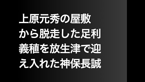 上原元秀の屋敷から脱走した足利義稙を放生津で迎え入れた神保長誠