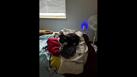 Well wait here dad while you shower