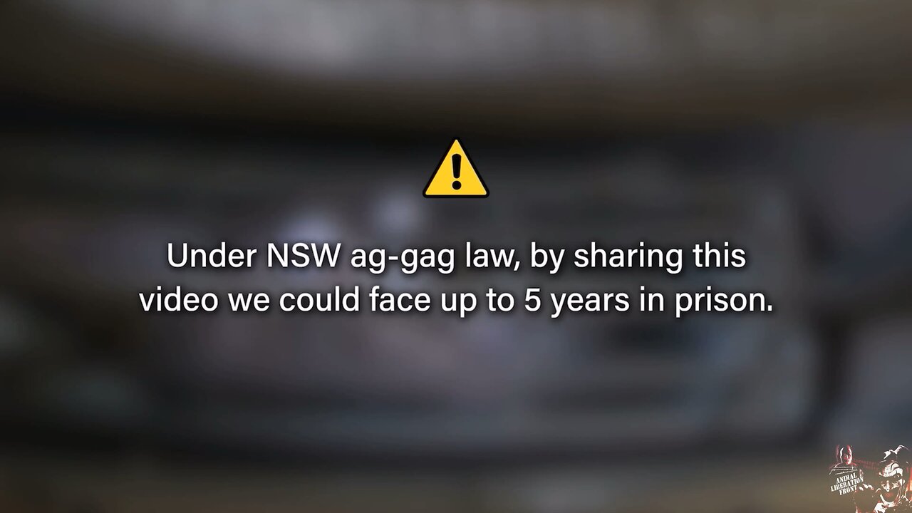 Remember We Are The Terrorist 2 Them