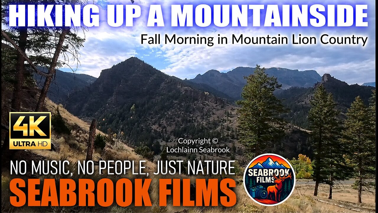 Hiking Up a Mountainside: Fall Morning in Mountain Lion Country