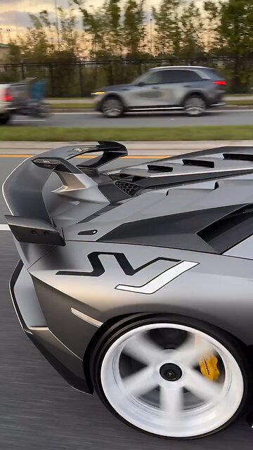 Gray Lambo SV in Style | Supercar Meets Scenic Beauty