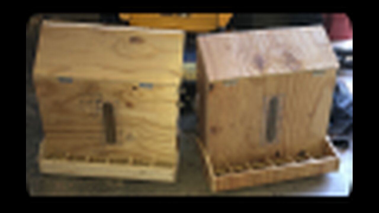 Chicken Wall No-Waste feeder