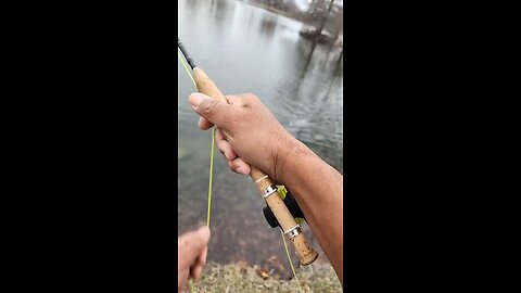 Be sure to fish shallows for lurking Bass. #mobile #fishing #livestream #Live #highlights