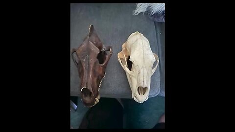 SKINWALKER RANCH FINDINGS [2026-01-13] - BEN WOODRUFF (PRESENTATION VIDEO)