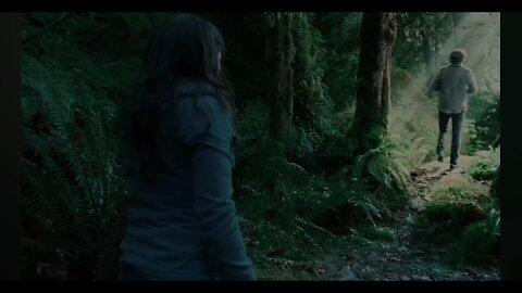 Red Hot Chili Peppers - I Could Have Lied X Twilight