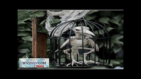 Skeleton Crow in Cage Creepy Prop Review