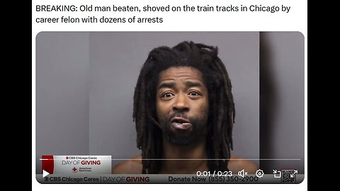Old man beaten on Chicago train tracks by felon with dozens of prior arrest