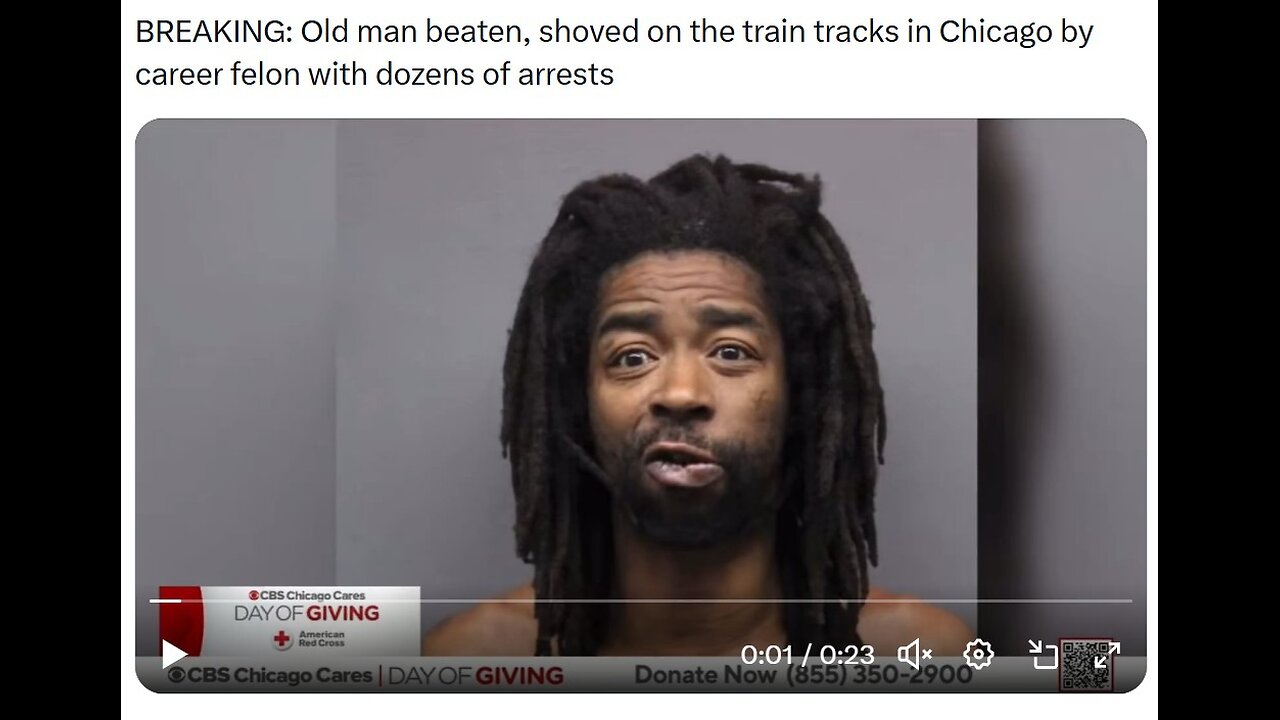 Old man beaten on Chicago train tracks by felon with dozens of prior arrest