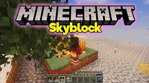 The NETHER NIGHTMARE Continues in MINECRAFT SKYBLOCK 😭 Ep 11