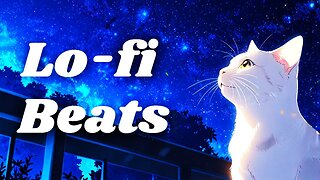 Lo-Fi Hip Hop Radio 🌙