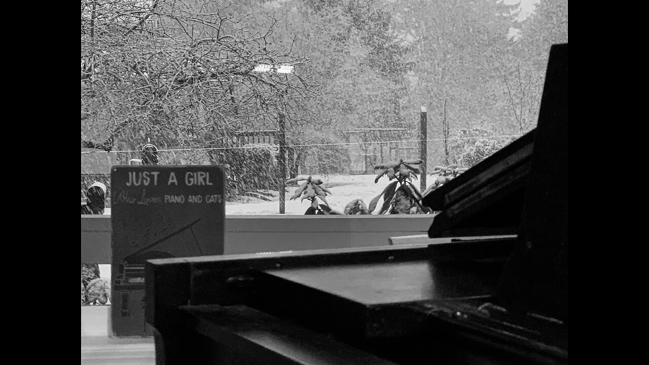 Snow Piano Improvisation (2023, February 28th)