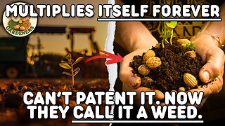 This Plant Grows Without Permission — Here's Why!