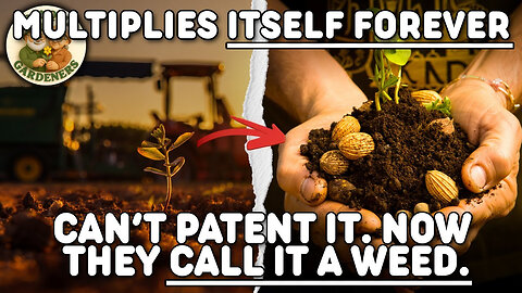 This Plant Grows Without Permission — Here's Why!