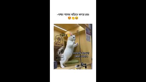 story