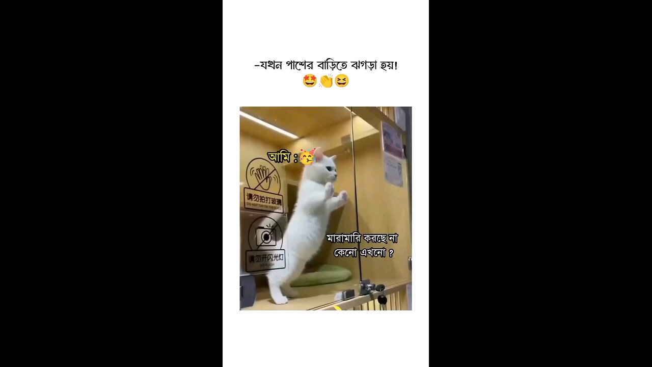 story