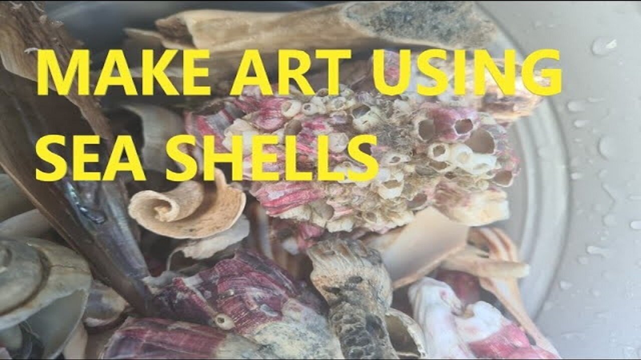 Make ART with SEASHELLS, CORAL, DRIFTWOOD, SEAWEED, BEACH FINDS