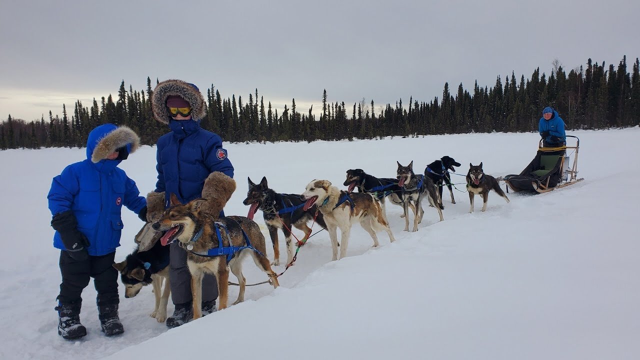 Winter Camping in Alaska with a Sled Dog Team