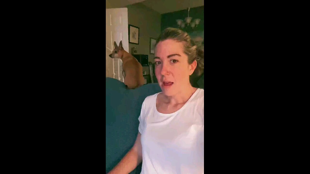 lbkbobo
