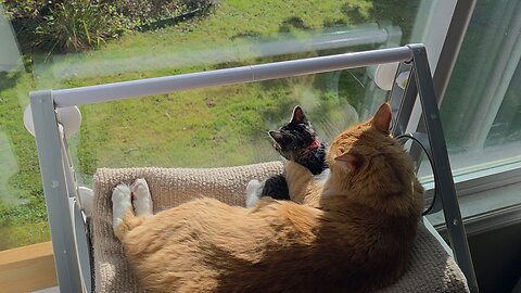 You're TAKING a bath!