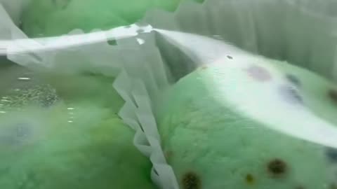 Mold in Famous NYC Restaurant