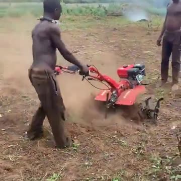 African farmers show us how to cultivate the land. 🤣🤣🤣