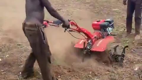 African farmers show us how to cultivate the land. 🤣🤣🤣