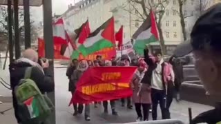 Far-left activists wave Palestinian flags in Norway and protest over Israeli