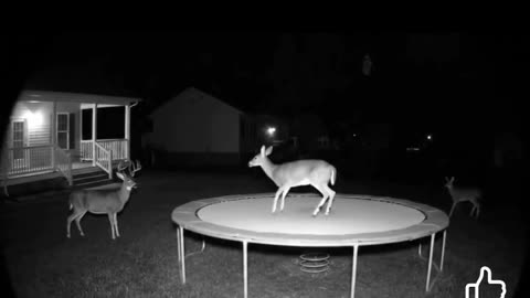 😱💀 Oh No, SkinWalker Caught on Camera! You Won't Believe What They Did Next... | TheHauntingHour