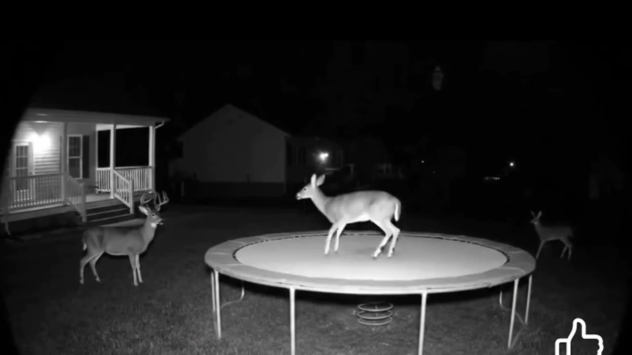 😱💀 Oh No, SkinWalker Caught on Camera! You Won't Believe What They Did Next... | TheHauntingHour