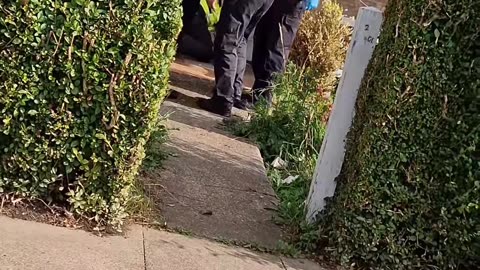 England Police in 2025