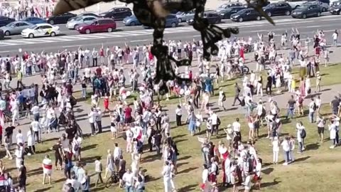 🚨Birds Aren’t Real Founder ADMITS It Was FAKE?! 🐦🤖#youtubeshorts #viral #youtube #shorts #shortvideo