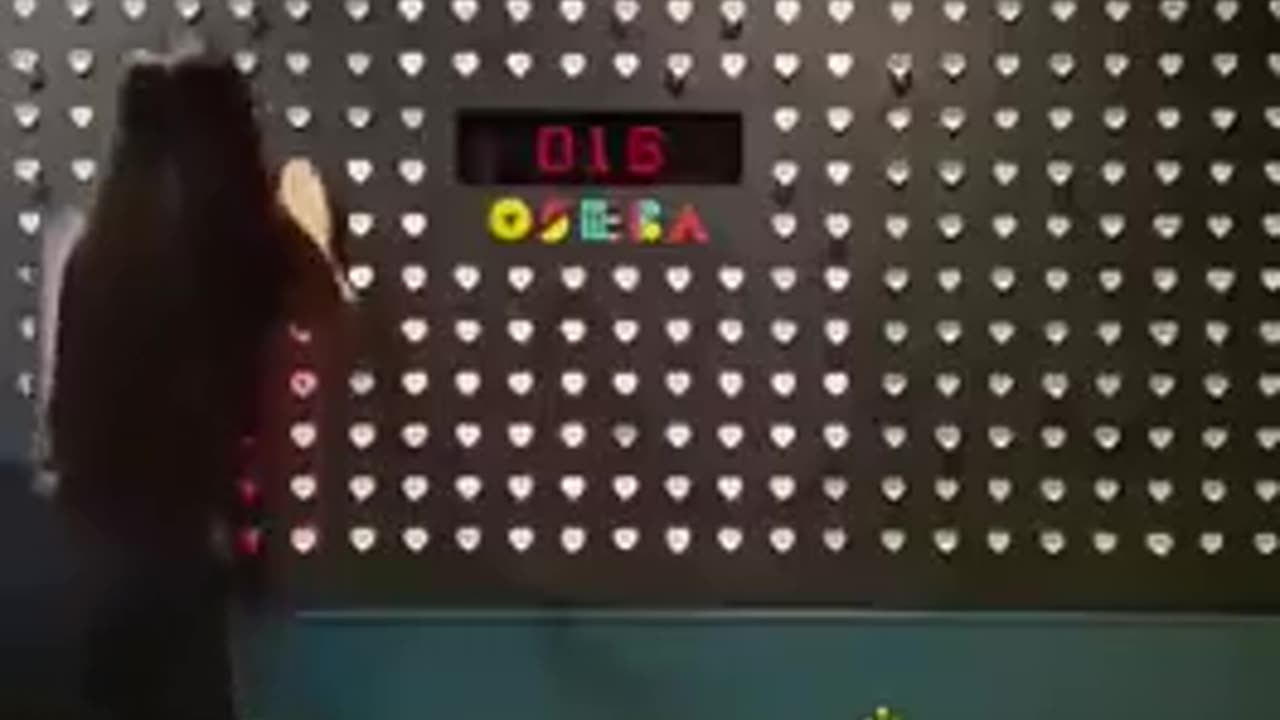 🧠✨ Discover Japan's Unique Elevator Button Museum! | FeedMyCuriosity