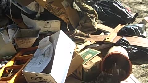 HANGING AT THE CITY DUMP FOR YASU_S PROPERTY, shea show