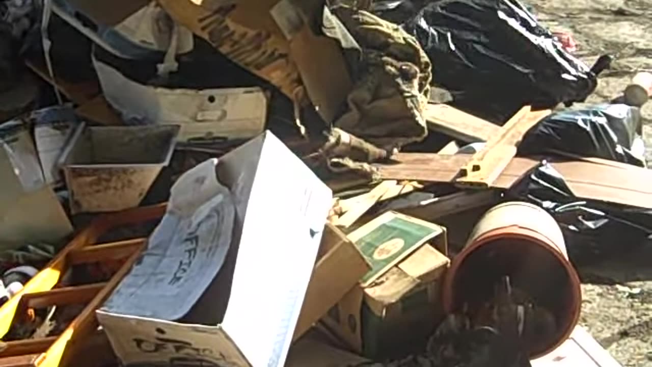 HANGING AT THE CITY DUMP FOR YASU_S PROPERTY, shea show