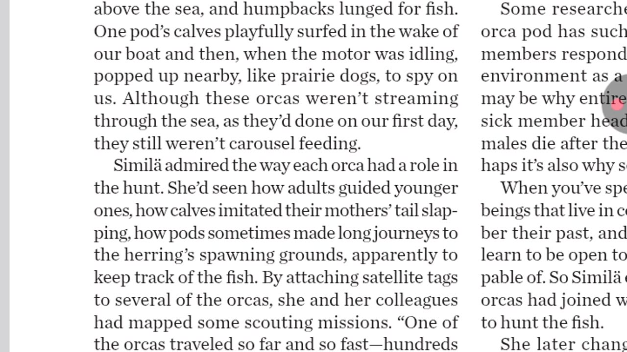 National Geographic 3