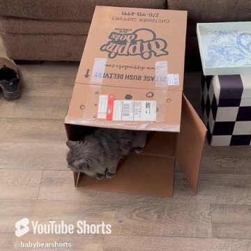 Can Someone Please Explain This_