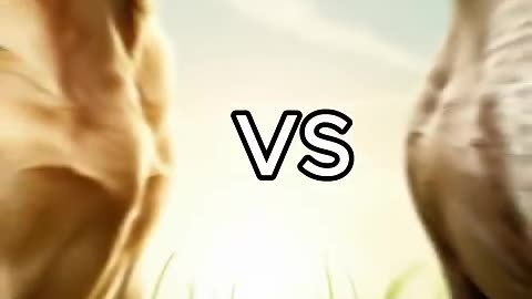 Rottweiler Puppy vs Pitbull puppy ( German Shepherd, Husky, Doberman, labrador retriever, Pointer).