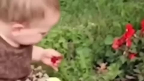 FUNNIEST BABY 6 😂😨 #viral #fyp #bts #funny #new #life #life #free #short #wow #drole #humour #