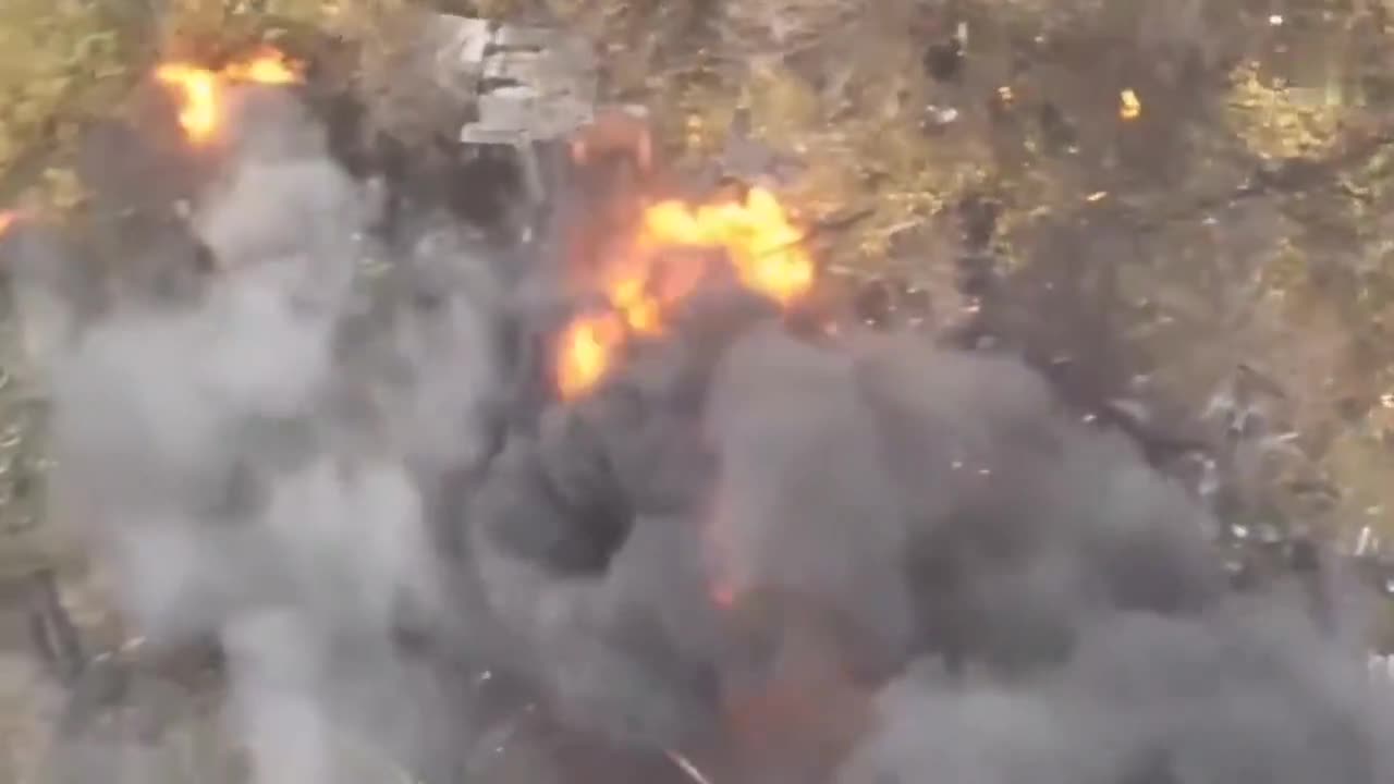 Sad Leopard Tank Burns Alone in the Field